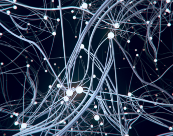 Teaching and Learning